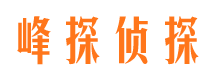 陈仓侦探